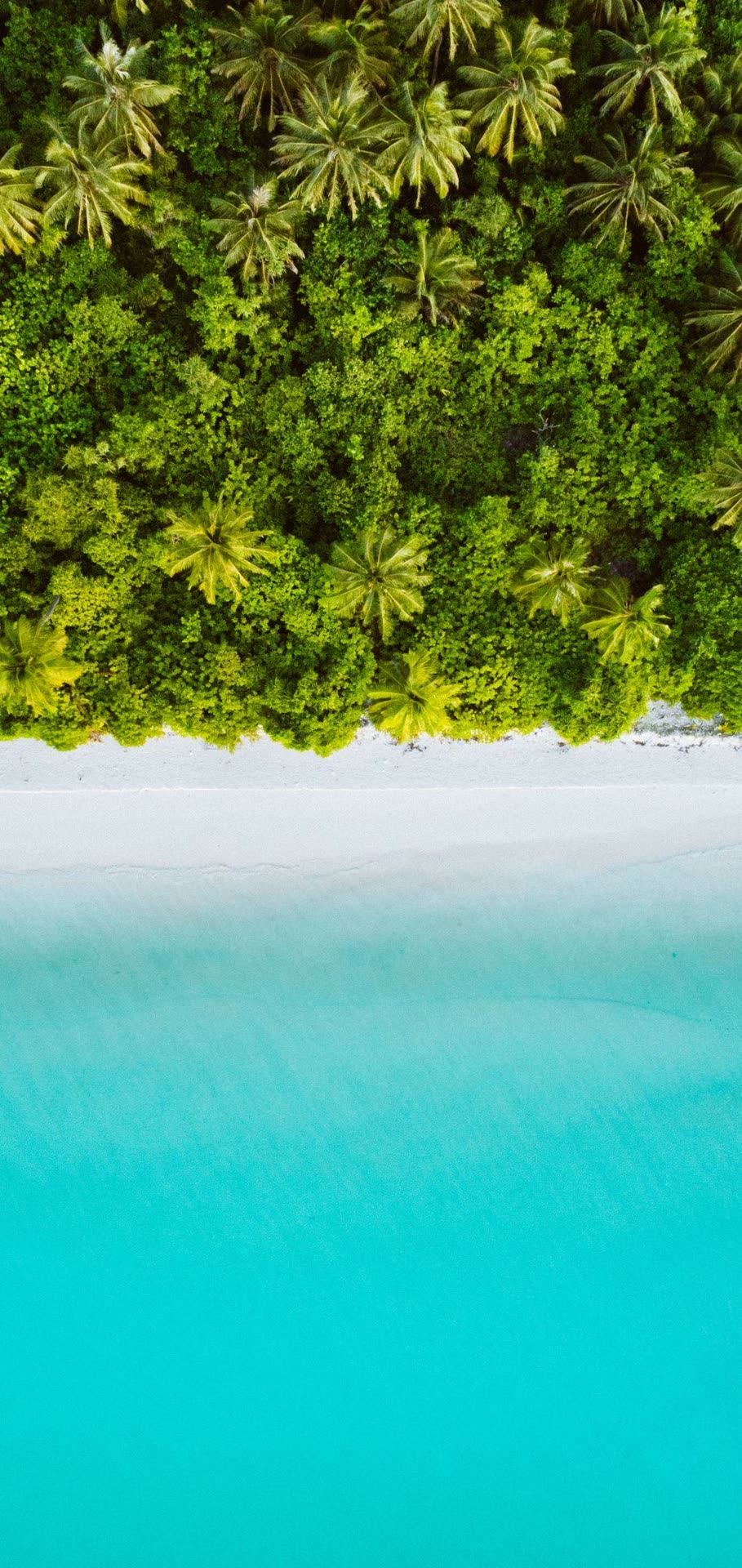 Praia tropical nadir — palmeiras e mar turquesa — A4UATRO Drone